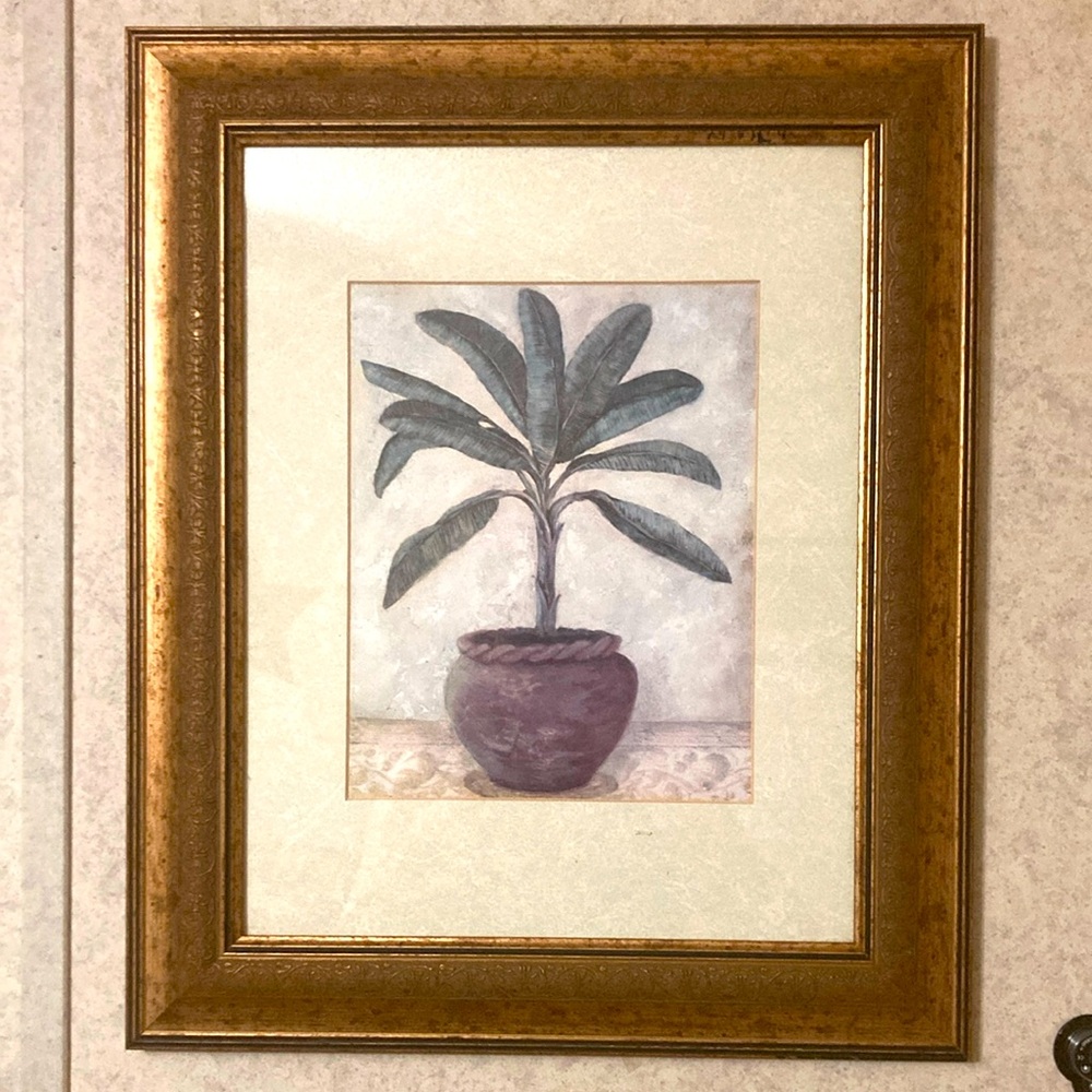 Framed Botanical Art with Gold Frame